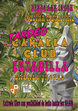Publicación4