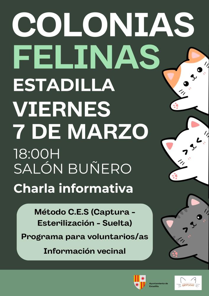 Imagen ¡Retomamos el proyecto de las “Colonias Felinas”!
