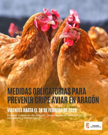 Imagen Aragón adopta medidas obligatorias para prevenir la gripe aviar en todo...