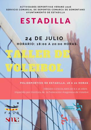 Imagen Taller de Voleibol